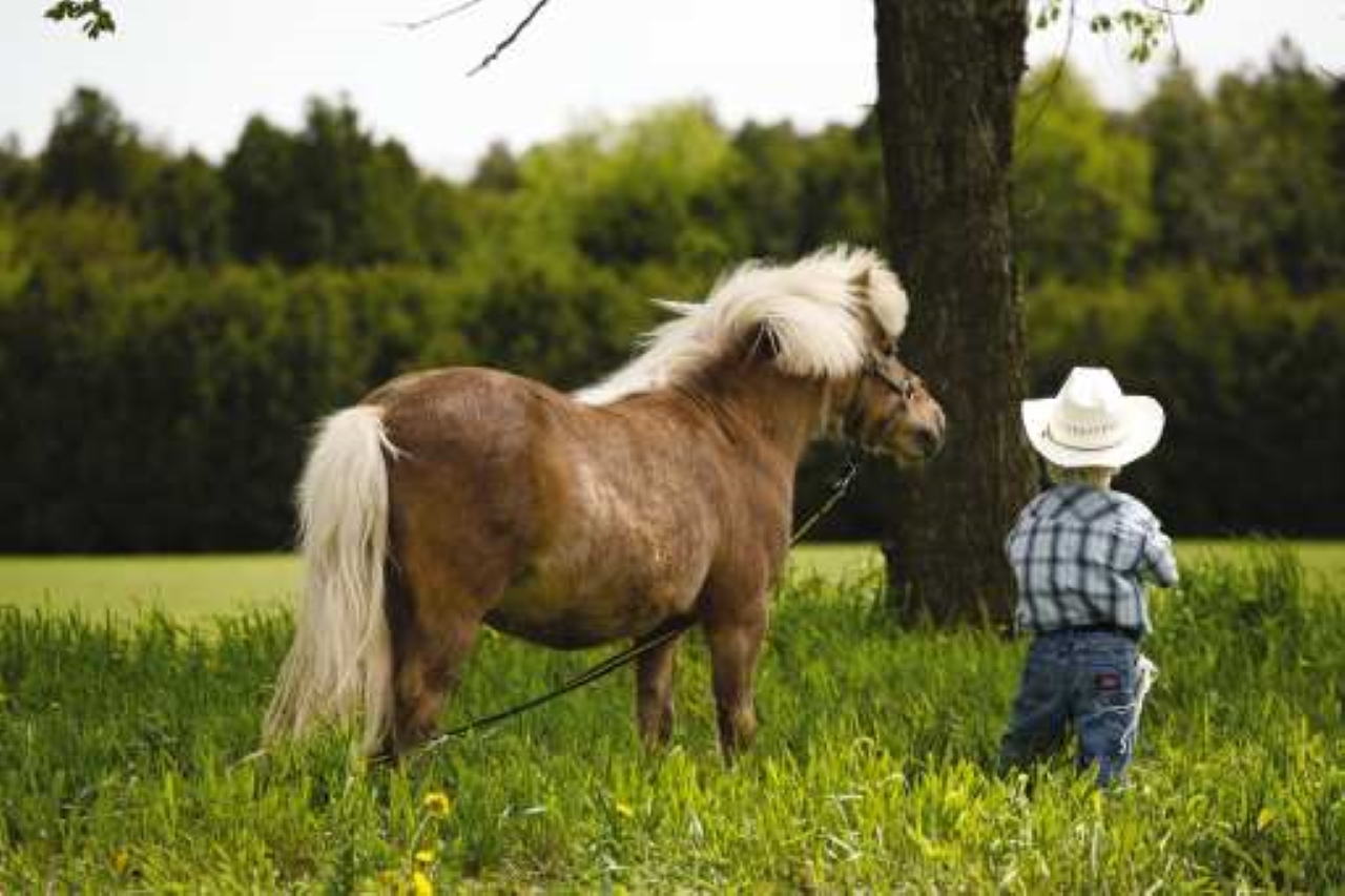 The Pony Express Rides Again, Pa rider shares how she got involved