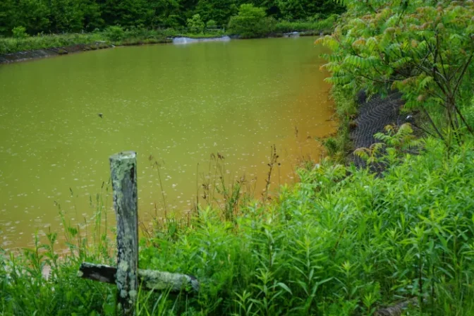 An abandoned mine drainage treatment pond filled with iron-tinted water near the village of Melcroft, Pa. Photo: Reid Frazier / The Allegheny Front