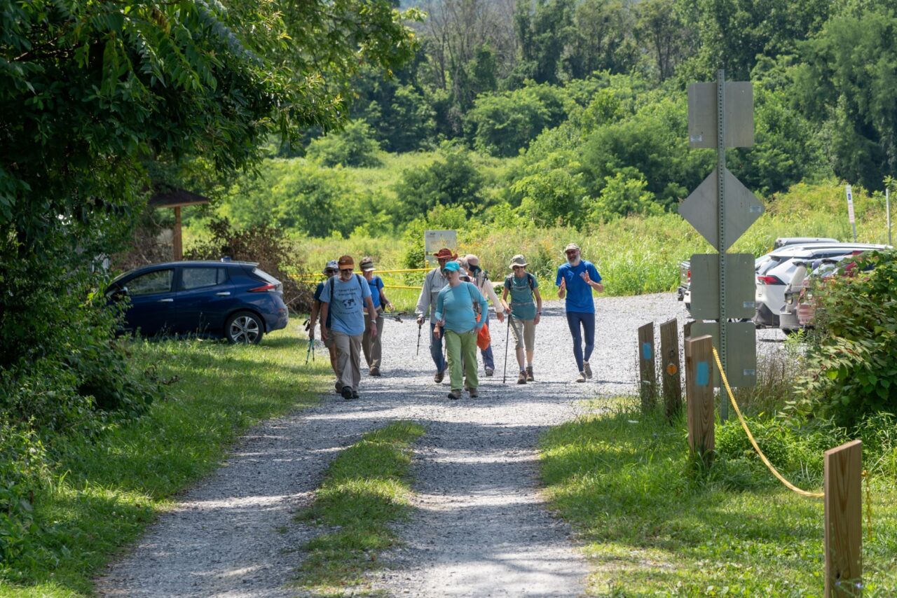 Hikers walking a trail